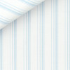 Twill Rayé Bleu