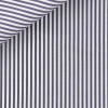 Twill Rayé Bleu