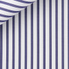 Twill Rayé Bleu
