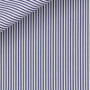 Popeline Rayé Bleu