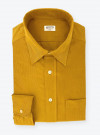 Chemise Velours Uni Gold