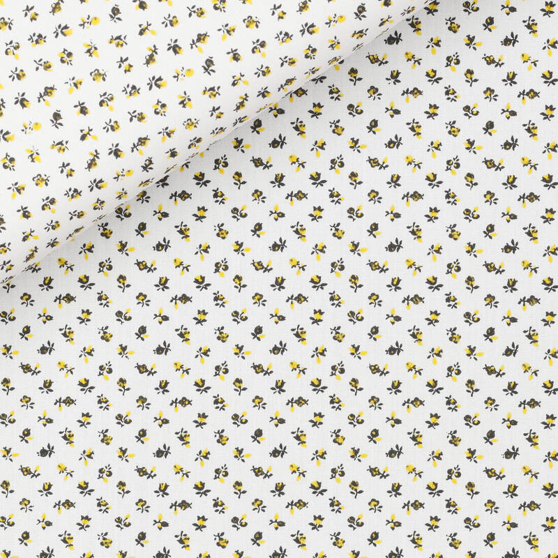 Popeline Motif Blanc