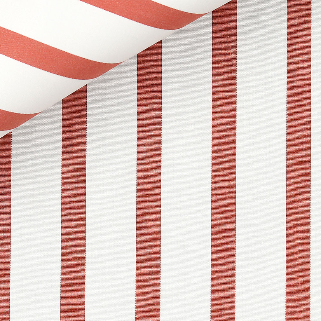 Popeline Rayé Orange