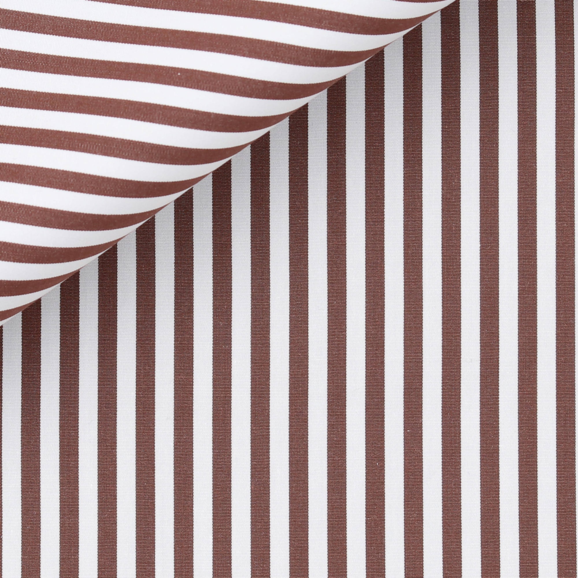 Popeline Rayé Marron