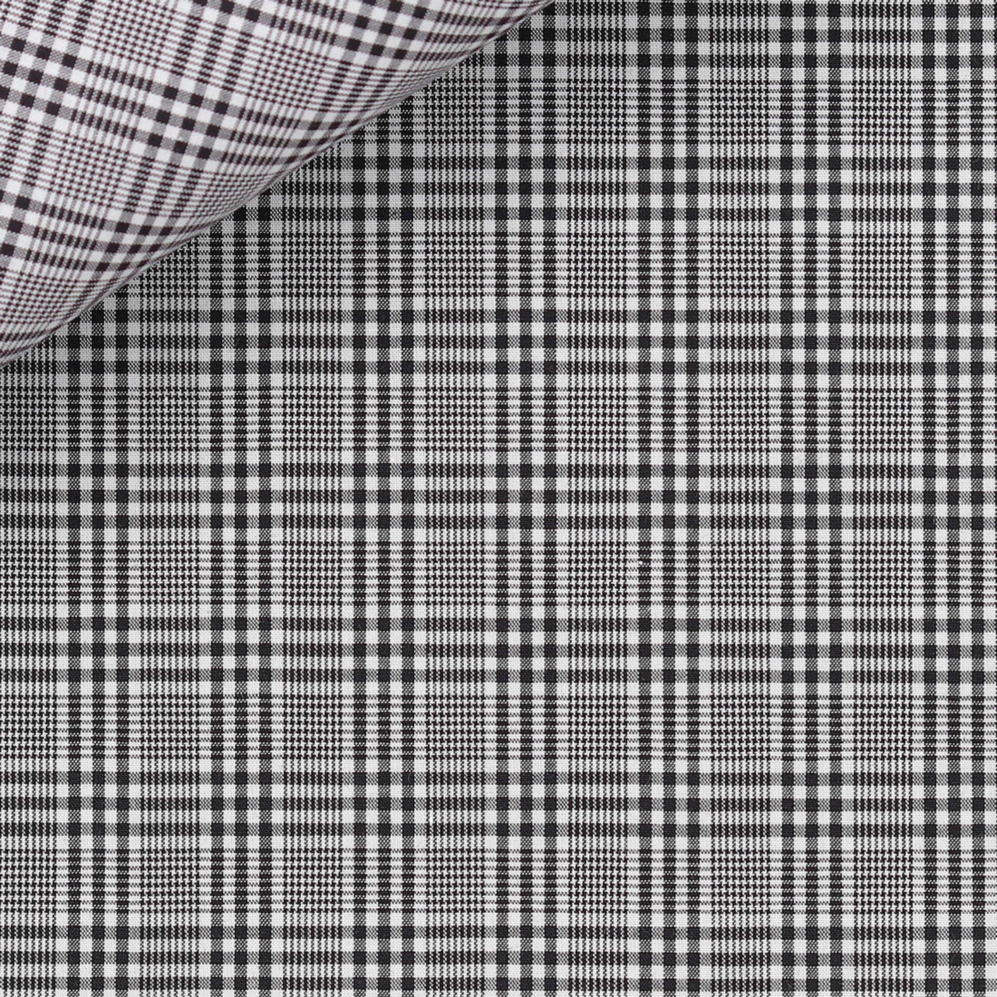 Zéphir Prince de Galles Noir